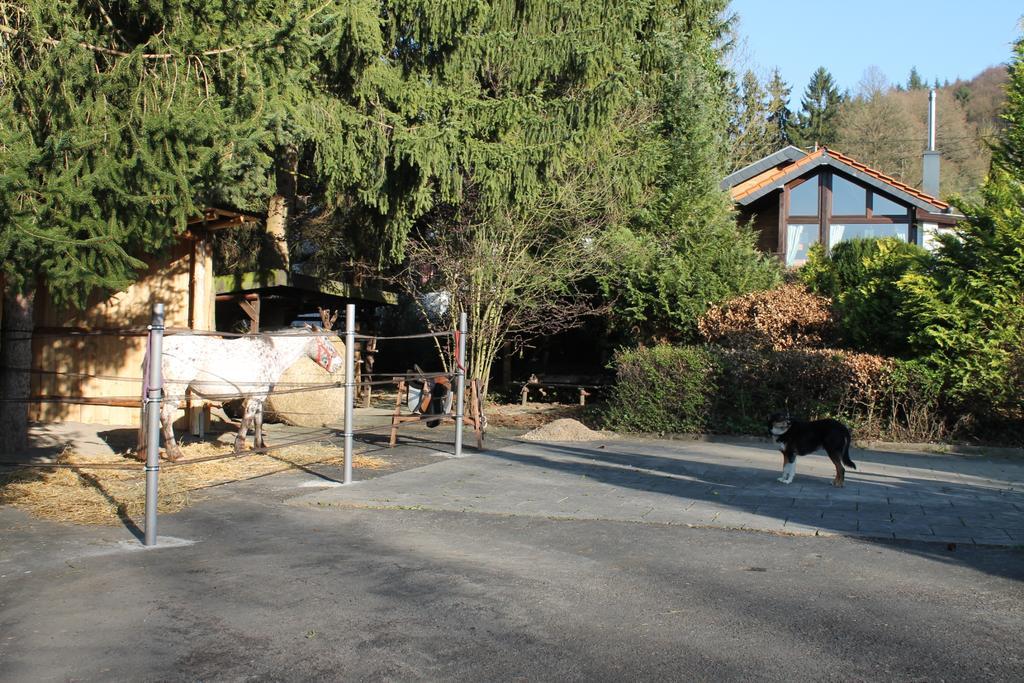 Ferienhaus "Kleiner Onkel" Honerath Exterior photo